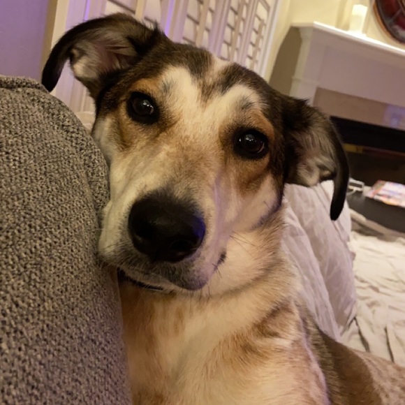 Meet your Posher, Michaila - Picture 1 of 1